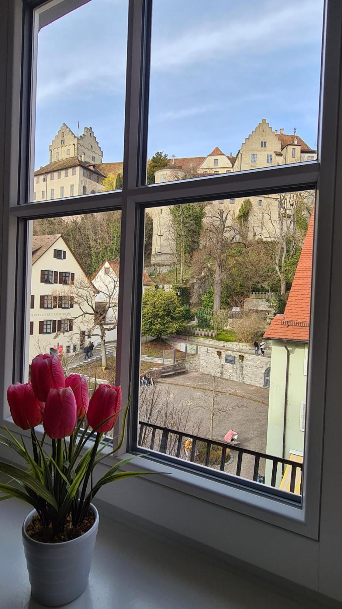 Schwabenstuben Apartment Meersburg Extérieur photo