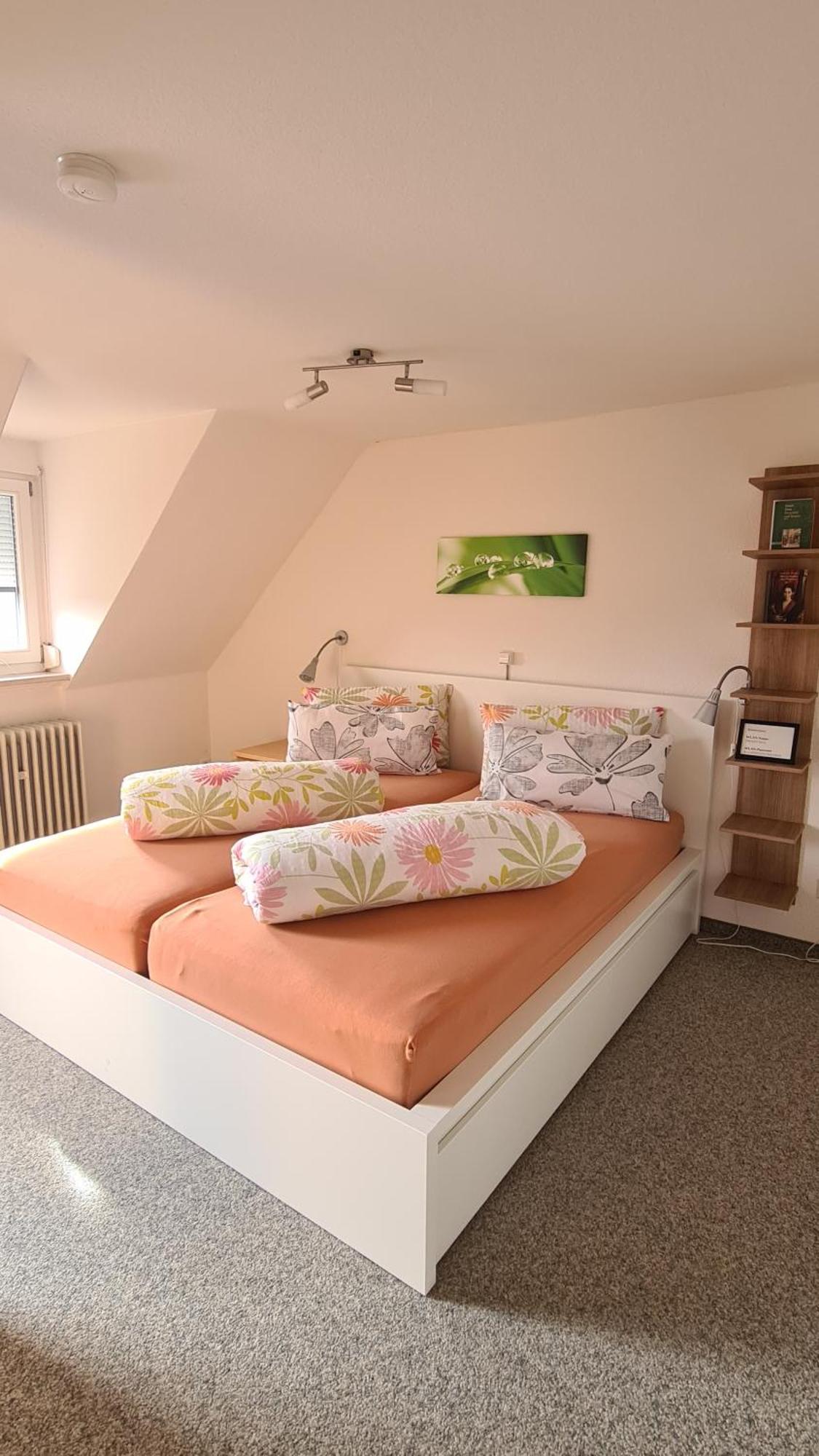 Schwabenstuben Apartment Meersburg Extérieur photo